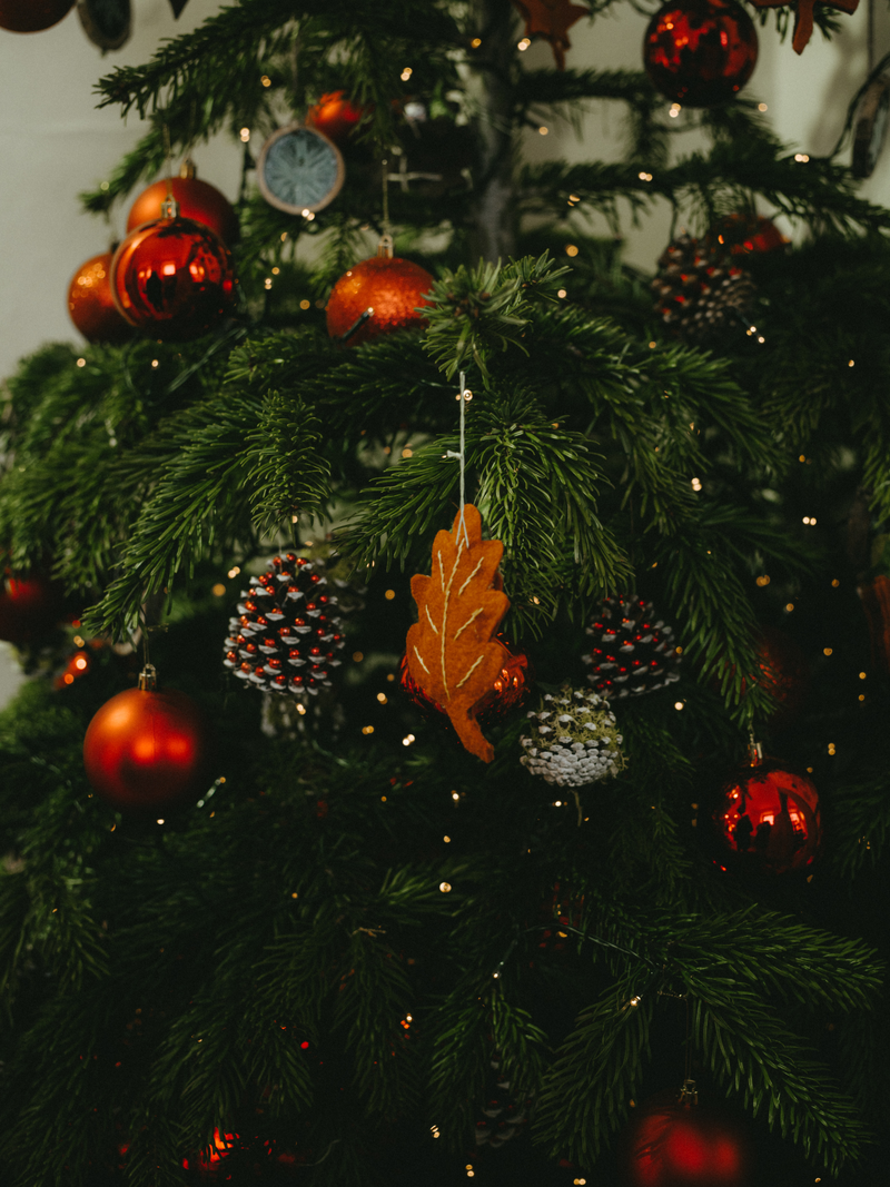 Sapins
